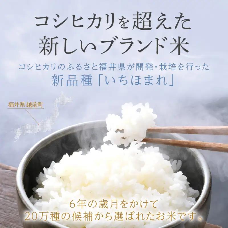 【令和7年産】いちほまれ 精米 10kg 特A 福井県 ブランド米 白米 [e27-b016]