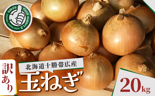 【訳あり】北海道 十勝 帯広産 玉ねぎ 20kg【配送不可地域：離島】【1677195】