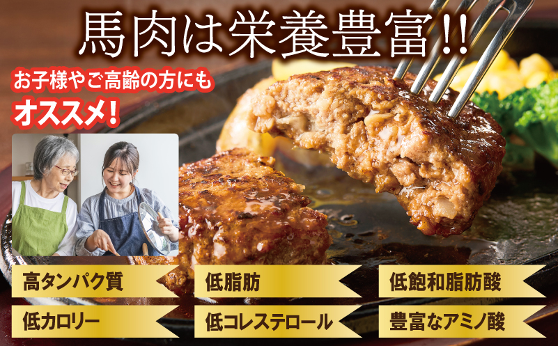【定期便】 桜文 馬肉ハンバーグ 120ｇ×10個 全6回 【毎月配送コース】