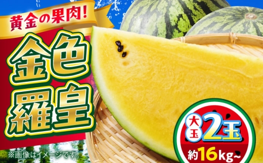 【2026年 先行予約】【数量限定】すいか 金色羅皇 2玉入り 約16kg以上 黄色い スイカ 甘い 合志市 熊本県 西瓜 すいか 果物 スイカ フルーツ くだもの 甘い 新鮮 果汁 ジューシー 大玉 季節の果物 【日本フルーツ株式会社】 [AYDA011]