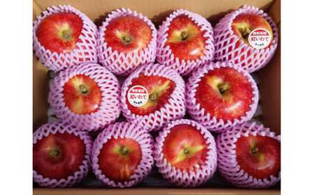 【先行予約】 新鮮りんご 紅いわて 約3kg りんご
