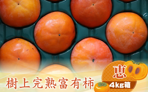 
                  【先行予約】樹上甘熟富有柿 【恵】4kg箱 【 柿 かき フルーツ 神奈川県 海老名市 】
                