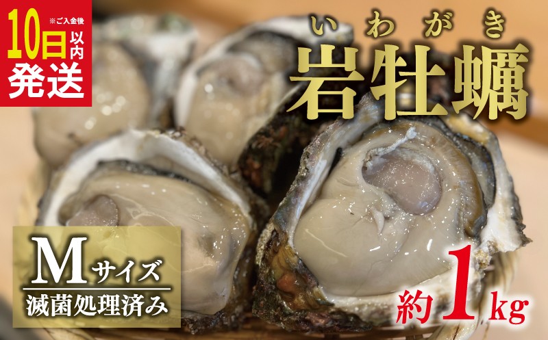 
            【10日以内発送】 岩牡蠣 Ｍサイズ 約 1kg （4～5個） 10000円 いわがき 殻付き 岩がき 殻付 岩カキ 岩かき かき カキ オイスター 大粒 肉厚 カキフライ 焼き牡蠣 蒸し牡蠣 焼きがき ミルク ソテー 酒蒸し バーベキュー などに 冷蔵 国産 産地直送 期間限定 数量限定 夏 季節限定 特産品 魚介 養殖 人気 贈答 プレゼント ギフト 土産 お取り寄せ 上甲商会 愛南町 愛媛県
          