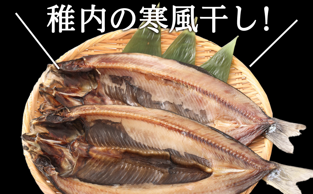 【北海道 の 居酒屋 気分!】一夜干し 開き にしん 5枚セット