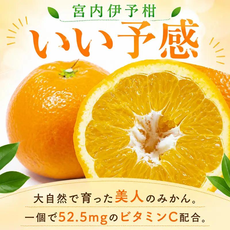 【2027年1月上旬頃から順次発送】伊予柑 約5kg 訳あり みかん わけあり【TNN012】