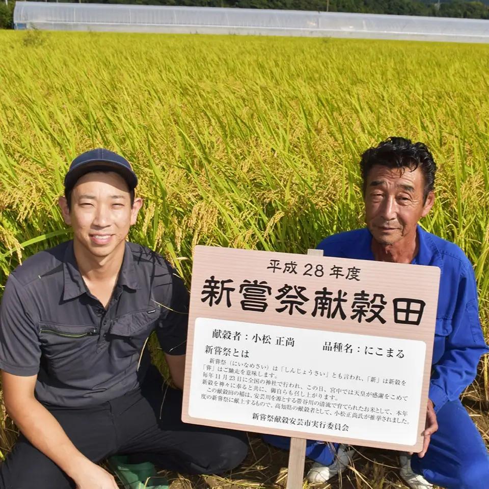 先行受付 令和8年産 玄米 10kg 【こしひかり玄米】
