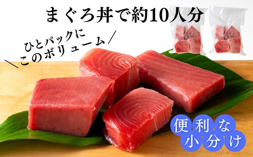 B13-023 天然三崎まぐろ 赤身 切落し 1kg (500g×2袋) お手軽 食べきり 小分け 解凍レシピ付