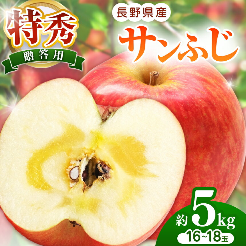 【ふるさと納税】贈答用(特秀)　サンふじ　約5kg　16～18玉【数量限定】 | ふるさと納税 果物 くだもの フルーツ サンふじ さんふじ リンゴ りんご 林檎 信州産 長野県 松本市