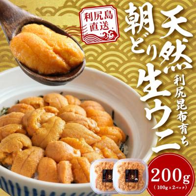 ふるさと納税 利尻町 【2026年発送受付】利尻島産「朝どり」塩水生うに200g (100g×2) 天然キタムラサキウニ