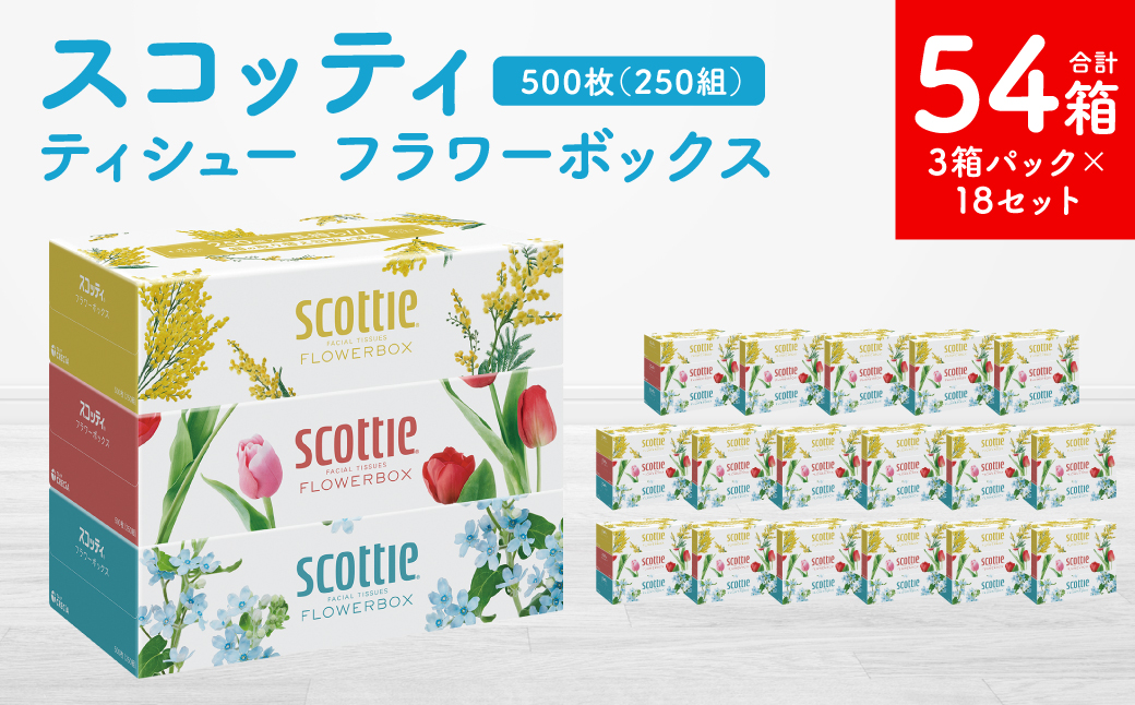 【スコッティ】 ティシュー フラワーボックス 250組 3箱パック×18 合計54箱 ティッシュ 日用品 生活必需品 【2024年11月上旬より順次発送予定】