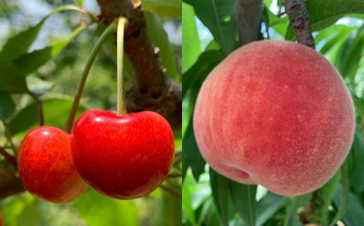 手作りジャムのパーティセット(5種類以上計18本) SBTK003