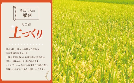 【6ヵ月定期便】令和8年産 コシヒカリ 玄米 20kg 新米 米 こしひかり 茨城県産こしひかり コシヒカリ 茨城産こしひかり 茨城こしひかり 茨城県産 こめ コメ お米 2026年産 ごはん 数量限
