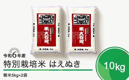 新米 令和6年12月上旬発送 はえぬき10㎏ 精米 令和6年産 ja-hasxb10-12f