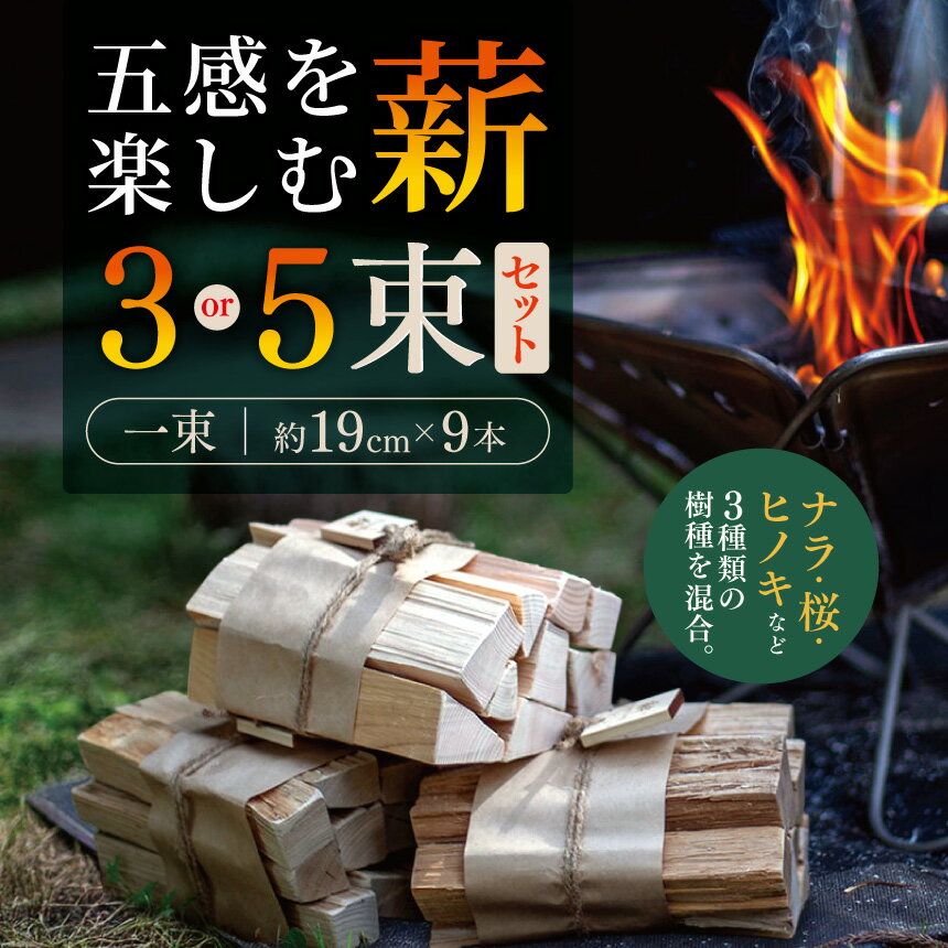 【ふるさと納税】【選べる】五感を楽しむ薪　3束セット or 5束セット| 薪 まき 焚き火 キャンプ アウトドア 薪ストーブ 暖房 燃料 火起こし 自然エネルギー 伊那市 長野県 信州 (015-39) (024-09)