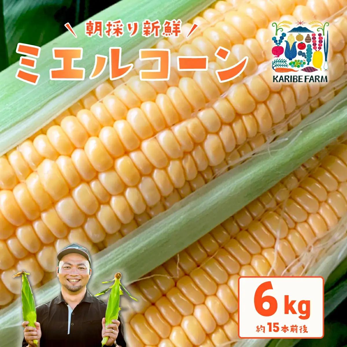 とうもろこし ミエルコーン 約6kg 先行予約 トウモロコシ