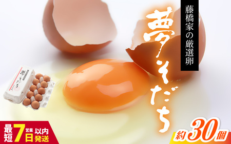  【夢そだち】 兵庫県産 ブランド卵 30個入り（10個×3パック）／ 夢育ち ゆめそだち たまご 濃厚卵 ブランド卵 上質卵 プレミアム卵 兵庫県 国産 新鮮 赤玉卵 黄身が濃い卵 紅色の黄身 甘み コク 濃厚オレンジ卵 安全 直送卵 鶏卵 朝採れ卵 お取り寄せ