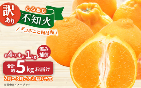 【2026年2月～3月頃発送予定】九州・福岡フルーツ王国八女｜ワケあり「不知火」（デコポンと同品種）約4kg（＋1kg傷み補償付き）＜配送不可：北海道・沖縄・離島＞ しらぬい 不知火 オレンジ みかん 福岡 訳あり 果物 072-167