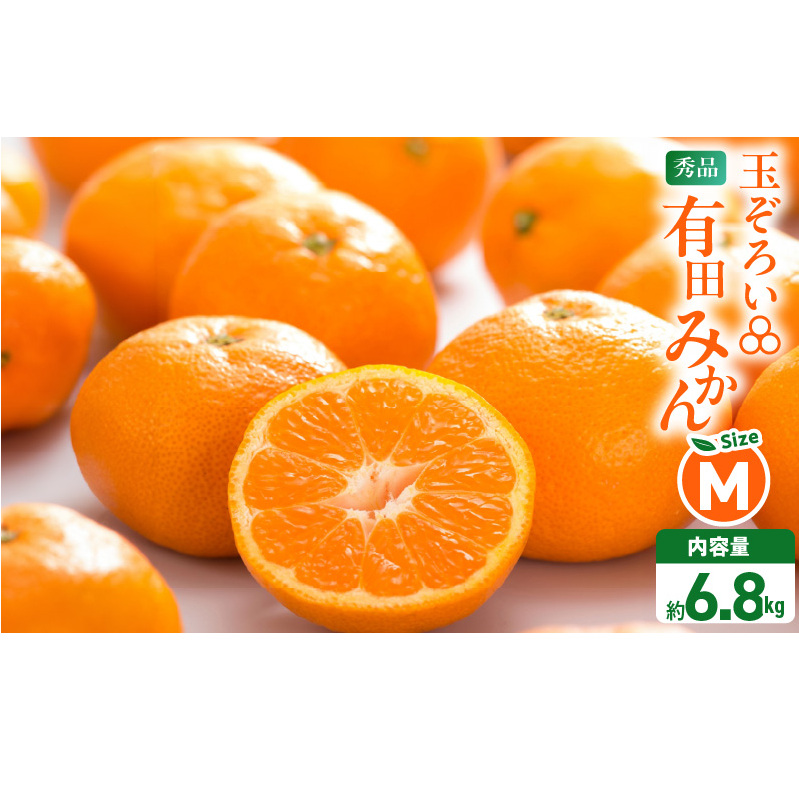 MK1045_【2026年先行予約】みかん Ｍサイズ 秀品 箱込 7.5kg ( 内容量 6.8kg ) 有田みかん 和歌山県産 産地直送 贈答用 【みかんの会】