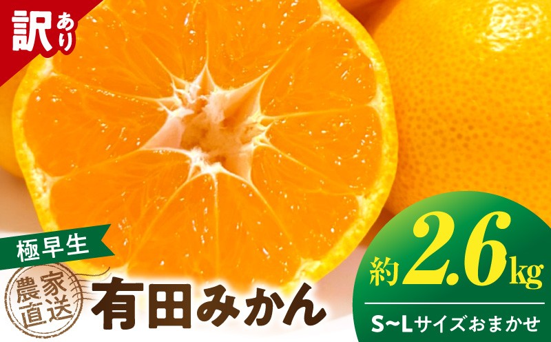 
                  【2026年先行予約】 【数量限定】 有田みかん 極早生 約 2.6kg 訳あり 11月発送 完熟 甘み 酸味 バランス みかん 柑橘 フルーツ デザート 果実 むきやすい 農家直送 傷あり お取り寄せ 和歌山県 湯浅町 送料無料 _TR1001
                