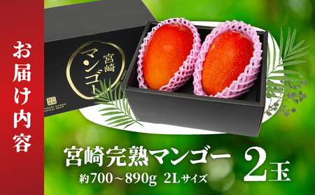 《2025年発送先行予約》【期間・数量限定】宮崎完熟マンゴー 約700～890g 2Lサイズ（2玉） 完熟 南国 濃厚