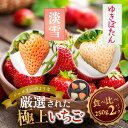 【ふるさと納税】淡雪・ゆきぼたん 250g×各1P／奈良県 苺 先行予約 ジャム 数量限定 期間限定 ブランド 人気 ギフト プレゼント 食べ比べ いちご 白 J-berryグループ「ICHIGO」 前田ストロベリー研究所