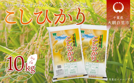 【新米】令和6年産 千葉県産「コシヒカリ」10㎏（5㎏×2袋） A011