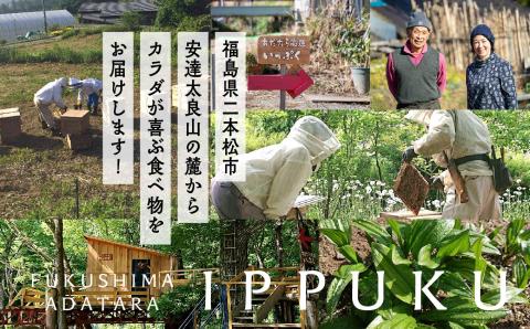 はちみつ（あだたら山のめぐみ）」 百花蜜 500g×2本【あだたら高原いっぷく】