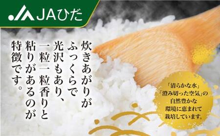 【定期便 6ヶ月】（全6回）令和7年産 飛騨コシヒカリ 白米 10kg | こしひかり 飛騨こしひかり お米 コメ 精米 飛騨産 飛騨高山 JAひだ GS102