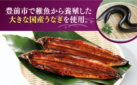 【全3回定期便】福岡県産 うなぎ 蒲焼 大 10尾 計1,600g（1尾あたり 160g以上）[VAD027] 国産 鰻 ウナギ 蒲焼き