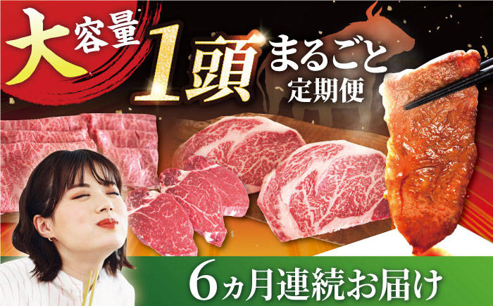 【牧場直送】【6回定期便】佐賀県産しろいし牛 1頭まるごと定期便A【有限会社佐賀セントラル牧場】 [IAH033]