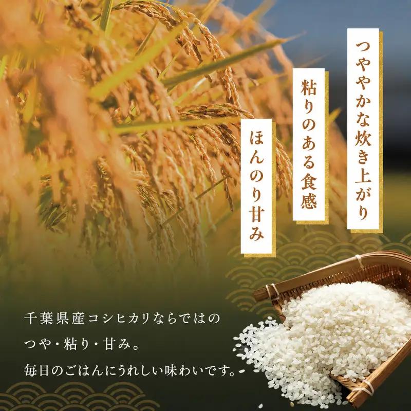 コシヒカリ 無洗米 令和7年 千葉県産 コシヒカリ【10kg×6ヶ月】【定期便】