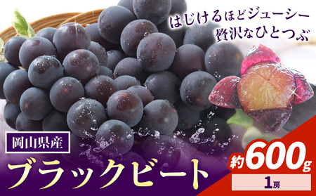 【先行予約】岡山県産 ぶどう ブラックビート 600g 1房 株式会社 はちや《8月上旬-9月上旬頃出荷》【配送不可地域あり】