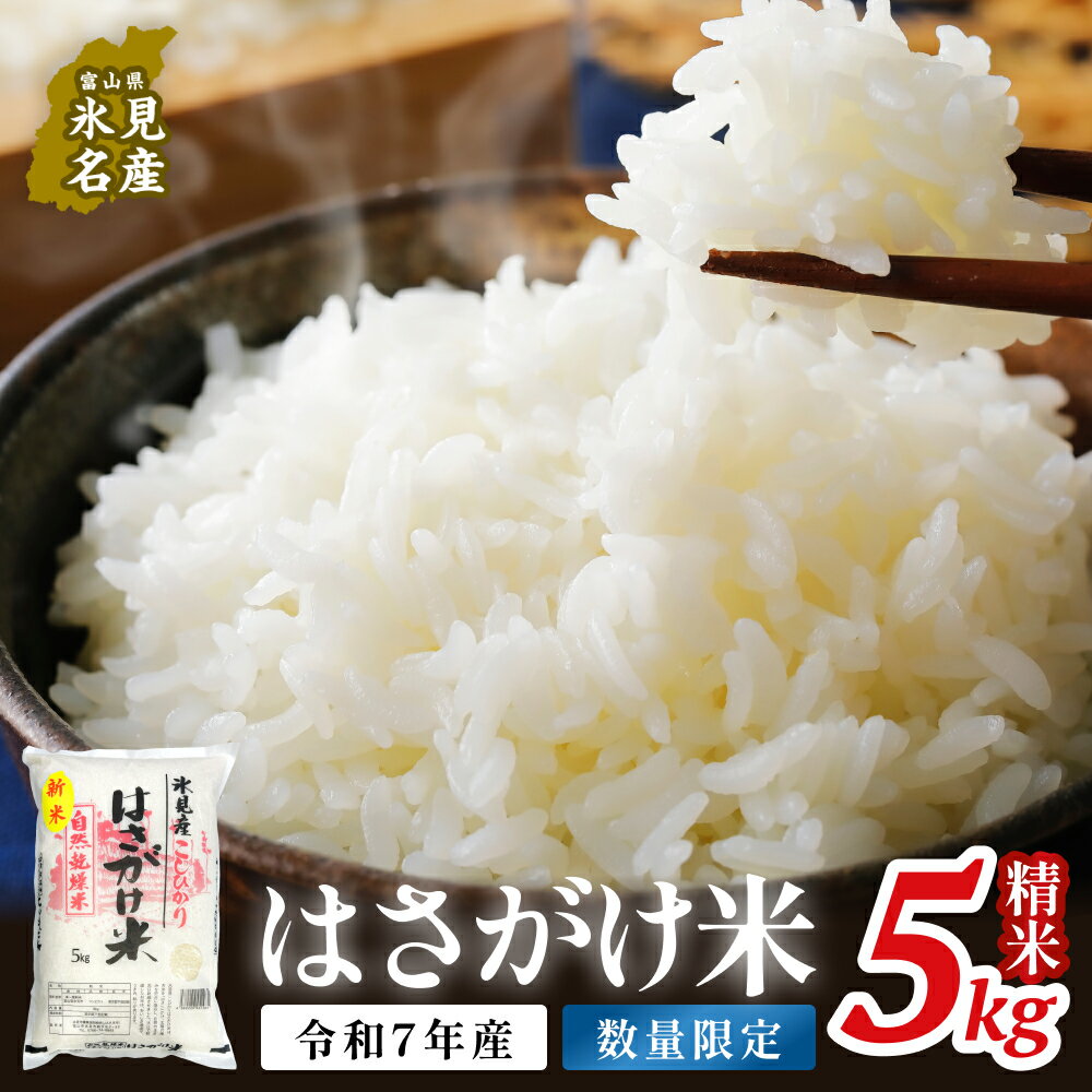 【ふるさと納税】《数量限定》令和7年産 はさがけ米 精米5kg 富山県 氷見市 米 コシヒカリ こしひかり