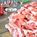 【ふるさと納税】豚肉 小分け 切り落し JAPAN X 豚小間切り落とし 3kg ぶたにく ブランド豚 切落し 薄切り 送料無料 肉 グルメ 人気 冷凍 真空 時短 国産 宮城県産【04301-0067】 ふるさと納税宮城県 ふるさと納税蔵王町