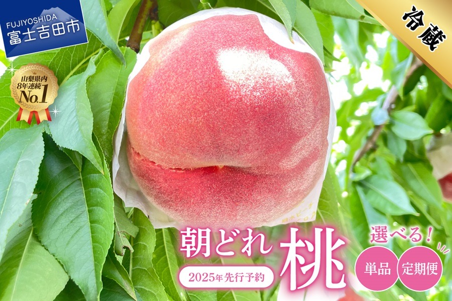【2025年先行予約】山梨の朝どれ桃 【単品 定期便 が選べる】桃 山梨県産桃 果物 くだもの 果物 フルーツ もも フルーツ 山梨 富士吉田