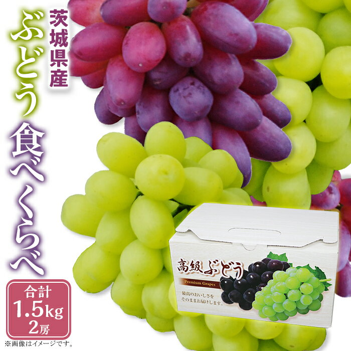 【ふるさと納税】楽天限定 337ぶどう食べ比べ 2房 約1.5kg シャインマスカット 旬のぶどう 人気 食べ比べ フルーツ 先行予約【2025年8月中旬～9月上旬ごろ発送予定】
