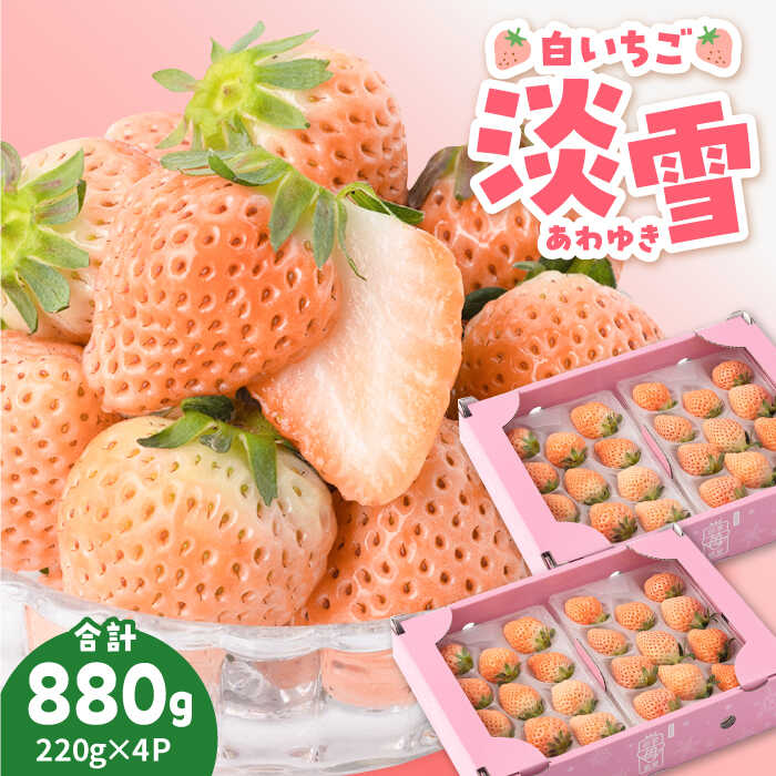 【ふるさと納税】【先行予約】ほんのりピンク 希少 白いちご「淡雪」220g×4パック【岸川農園】イチゴ 白イチゴ 苺 果物 フルーツ 佐賀県 白石町 [IAP033]