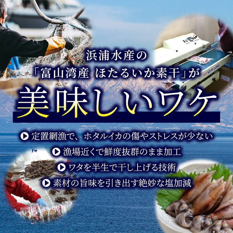 ほたるいか 素干し 160g (20g×8袋 )セット |  浜浦水産 おつまみ つまみ 珍味 いか イカ 干物 ひもの 魚介 魚介類 海鮮　※北海道、沖縄、離島への配送不可_イメージ4