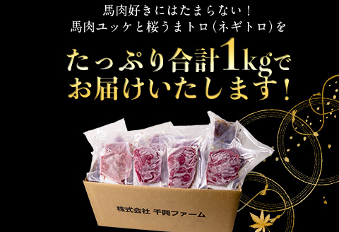 赤身ユッケ桜うまトロセット 計1kg ユッケ 桜うまトロ(ネギトロ) 千興ファーム 《60日以内に出荷予定(土日祝除く)》---sm_fsenakt_60d_23_22500_1kg---