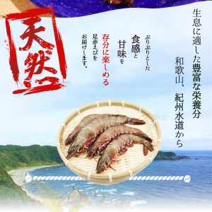 海老 エビ えび クマエビ 足赤 天然 おかず / 紀州和歌山産天然足赤えび540g×2箱（270g×4パック）化粧箱入 ※2024年11月上旬～2025年2月上旬頃順次発送予定（お届け日指定不可）【