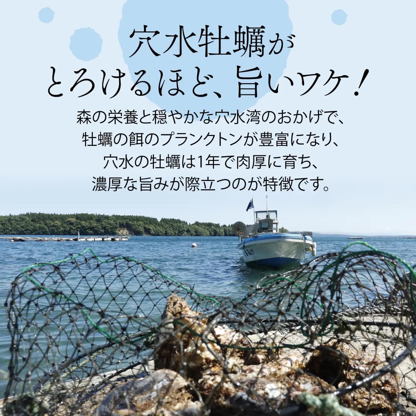 奥能登 松村水産の岩牡蠣 約500g前後【むき身・加熱用】/ 岩牡蠣