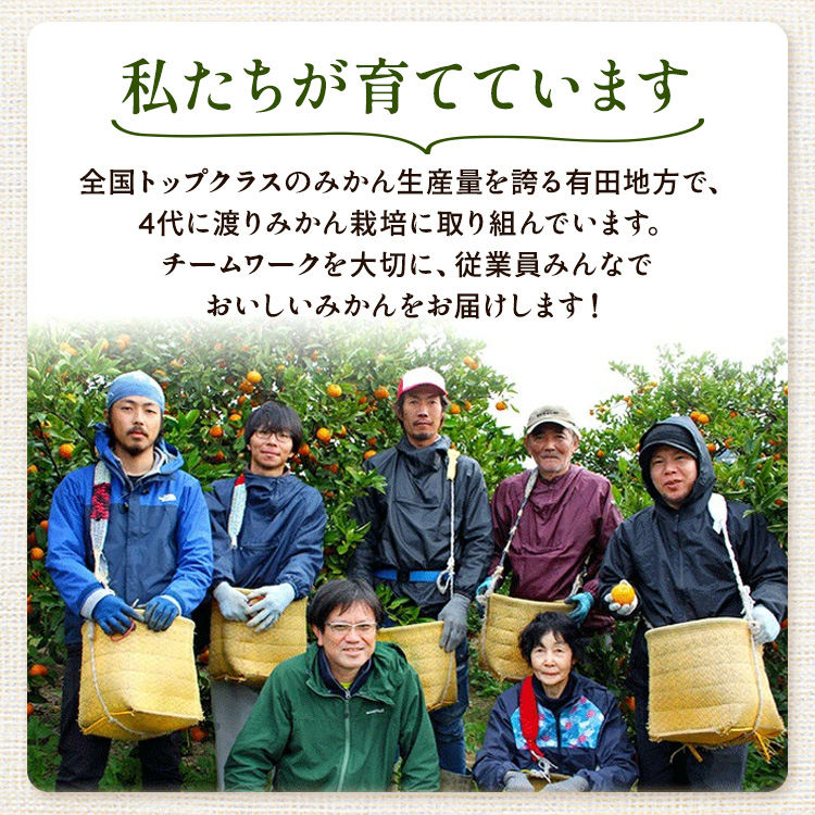 〈定期便〉【10・11・12月 全3回】家庭用 有田みかん定期便 10kg+250g（傷み補償分）※北海道・沖縄・離島への配送不可