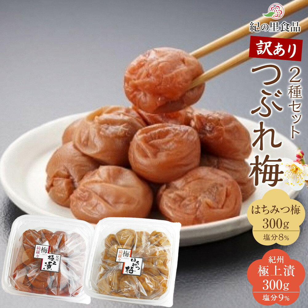 【ふるさと納税】つぶれ梅 2種セット 極上漬＆はちみつ梅 300g×2 ［Kn13］