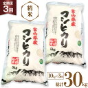 【ふるさと納税】3回 定期便 お米 コシヒカリ 精米 10kg×3回 総計30kg [サンライス青木 富山県 朝日町 34310425] 米 ごはん 白米 こしひかり 富山県産 30キロ