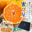 【ふるさと納税】≪先行予約≫ 超濃厚ハウスみかん『蜜ツ星』 秀品 選べる 1.2kg / 2kg (Lサイズ10玉 〜18玉) みかん 高級 高糖度 ギフト 贅沢 蜜柑 ミカン 柑橘 フルーツ 数量限定 季節限定 濃厚 化粧箱入り Lサイズ 詰め合わせ 豊橋