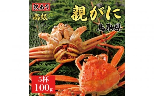 1071.【2025年11月発送】鳥取県産 特撰 親がに 姿【セコガニ】（茹）【訳あり】100g 5杯