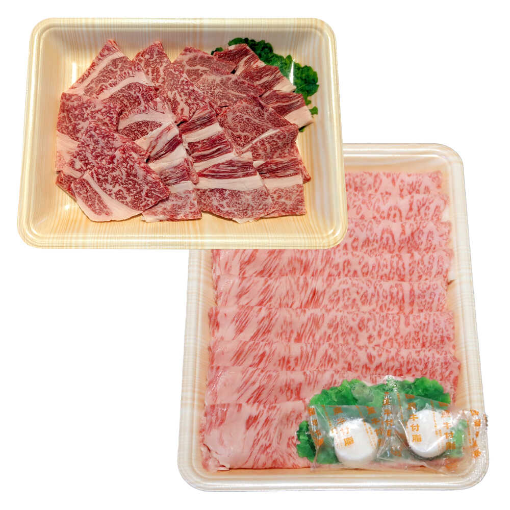 【ふるさと納税】くまもと 黒毛和牛 和王 肩ロース 焼肉用・ロース すき焼き用 セット 計約800g（各1P）【菊池地域農業協同組合】[AYBR044]