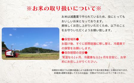 【令和8年度産】＜定期便4ヵ月＞お米 コシヒカリ 5kg×4回 定期便 お米  