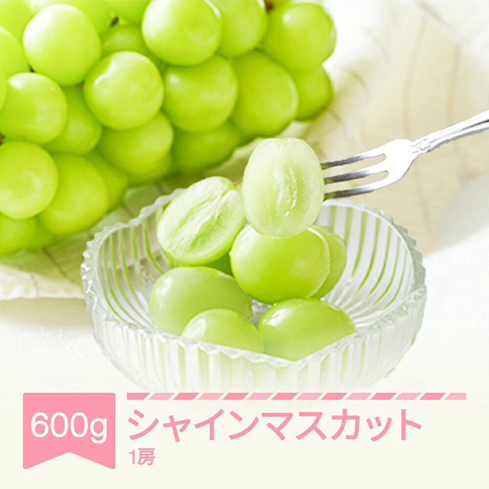 【ふるさと納税】【先行予約】 ぶどう シャインマスカット 秀品 1房（約600g）令和8年産 2026年産 山形県産 果物 送料無料 ns-busmx600※沖縄・離島への配送不可