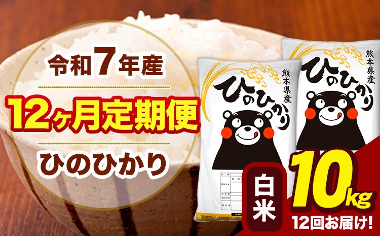 
                  令和7年産 【12ヶ月定期便】 白米 米 ひのひかり 10kg《お申込み翌月から出荷》熊本県 大津町 国産 熊本県産 白米 送料無料 ヒノヒカリ こめ お米 
                